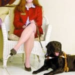 article image - 